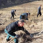 Представители силовых структур сегодня задействованы на вырубке древесно-кустарниковой растительности и ее вывозе