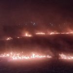 С начала года в области зафиксировано 163 возгорания в природных экосистемах