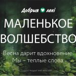 Весна возвращается с теплом: аптеки сети «Добрыя лекi» запускают вторую волну проекта эмоциональной поддержки