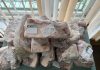 Почти 60 кг просроченной продукции и другие нарушения выявлены в магазинах Рогачевского района