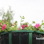 Фотофакт. Яркие петунии и бархатцы: улицы города украсили цветами