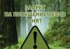 На территории Буда-Кошелевского района снят запрет на посещение лесов