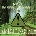 На территории Буда-Кошелевского района снят запрет на посещение лесов