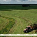 Первый укос трав проведен на 71% запланированных площадей в Беларуси
