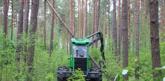 Где техника не пройдет, там вальщики помогут