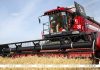 Белорусские аграрии убрали 10% площадей зерновых и зернобобовых культур