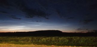 Зонт — главный аксессуар. Белорусов ждет дождливая и прохладная неделя