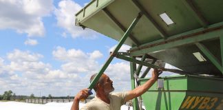 В КСУП «Губичи» урожай не только сушат, но и плющат