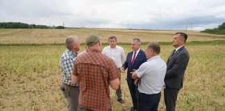 Председатель облисполкома Иван Крупко ознакомился с ходом уборочной кампании в Буда-Кошелевском районе