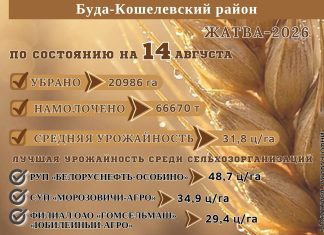 Жатва-2026 на Будакошелевщине
