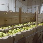 В Гомельской области пресечена незаконная схема по закупке сельхозпродукции у населения. Возбуждено 5 уголовных дел