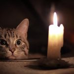 Планируемые отключения электричества в Буда-Кошелевском районе 19 августа