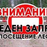На территории Буда-Кошелевского района продолжает действовать запрет на посещение лесов