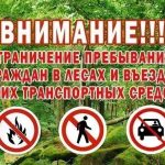 С 24 августа на территории Буда-Кошелевского района введено ограничение на посещение лесов