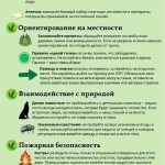 Правила безопасного поведения в лесу