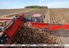 В графике Президента — сельхозтематика. Лукашенко совершит рабочую поездку в Шкловский район