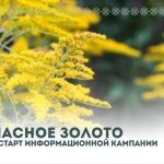 Министерство природных ресурсов и охраны окружающей среды Республики Беларусь проводит информационную кампанию «Опасное золото»