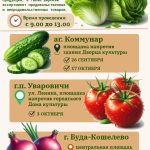 Ярмарки приглашают