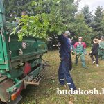 В парковой зоне по ул. Садовой г.п. Уваровичи царят рабочая атмосфера и командный дух