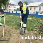 Когда мы вместе! Дружно, плечом к плечу работают сегодня на областном субботнике коллективы ДЭУ-46 и СП «АМИПАК»-ОАО