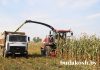 Кормовая база – залог успеха животноводческой отрасли