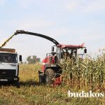 Кормовая база – залог успеха животноводческой отрасли