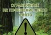На территории Буда-Кошелевского района снят запрет на посещение лесов