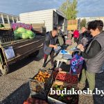 В Коммунаре развернулась ярмарка