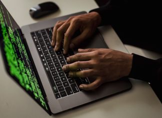 Белорусов предупредили об утечке данных за рубежом клиентов «ДоДо Пицца»