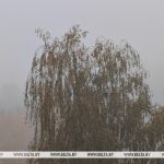 До +17°С, но есть нюанс: какой будет погода 18 октября в Беларуси