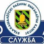 Без лишних кругов: 5 типичных ошибок при обращении в «одно окно» и как их избежать