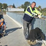 ДЭУ-46 выполняет работы по установке перильного ограждения на мосту в г.п. Уваровичи