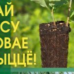Внеси свой вклад в доброе дело