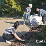 Активно включились в работу коллектив и постояльцы пансионата «Луговой». Территория преображается прямо на глазах