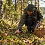 Отправляясь на тихую охоту, соблюдайте правила безопасности