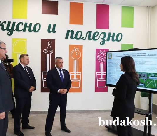 Председатель облисполкома Иван Крупко с рабочим визитом посетил Буда-Кошелевский район