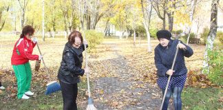 Активисты ветеранского движения района сделали парк чистым и уютным