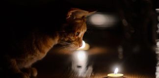Планируемые отключения электричества в Буда-Кошелевском районе 9 октября
